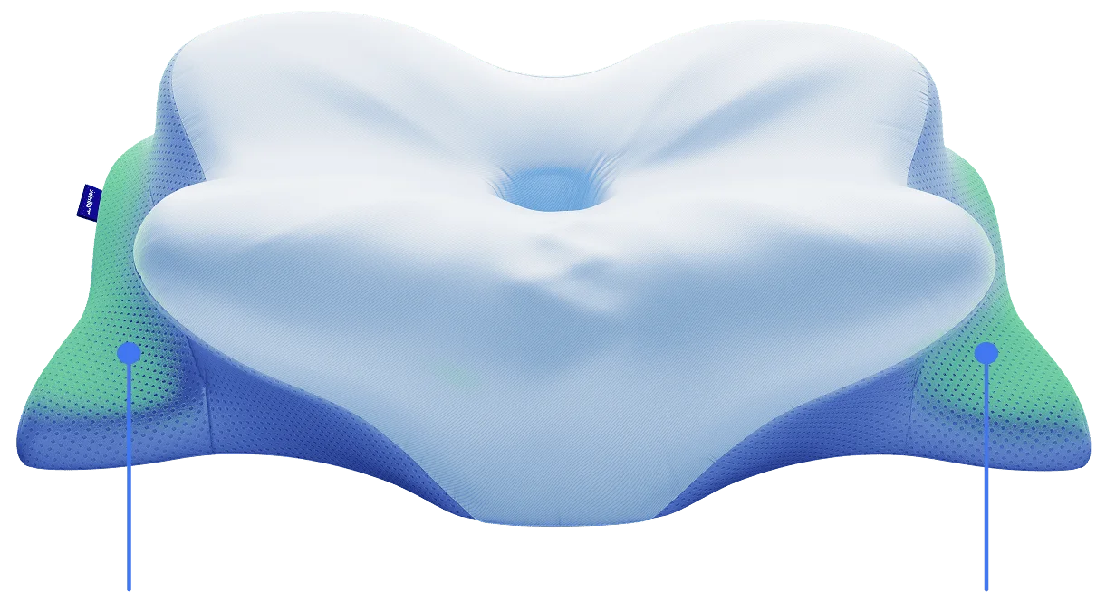 Derila Ergo 1 pillow